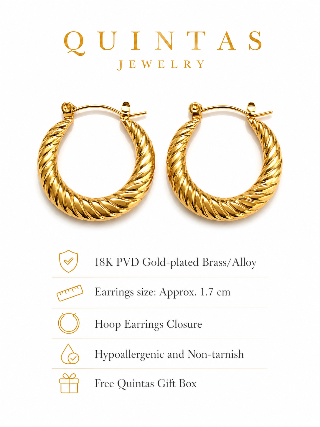 Solenne Twisted Hoop Earrings