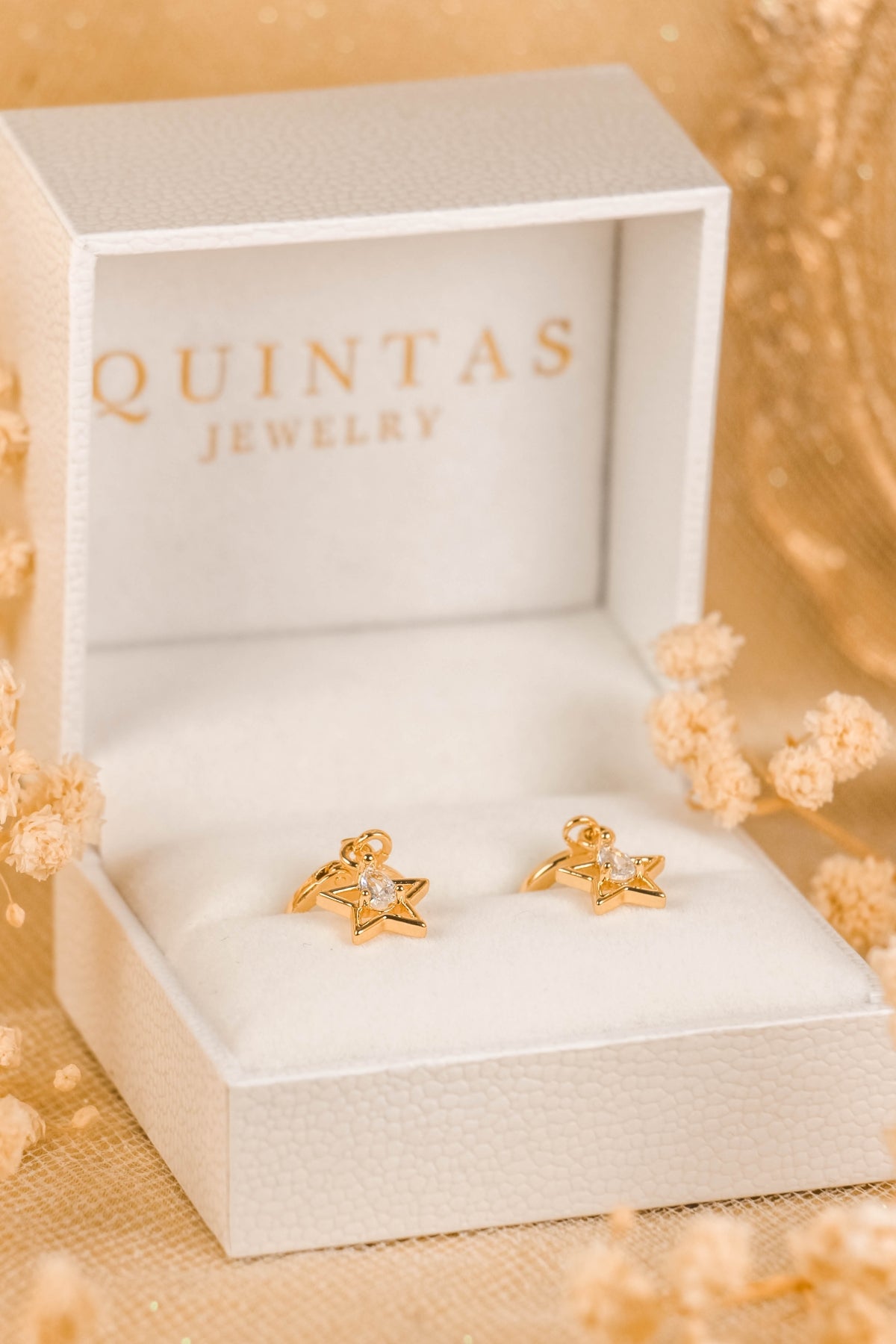 Crystal Star Hoop Earrings