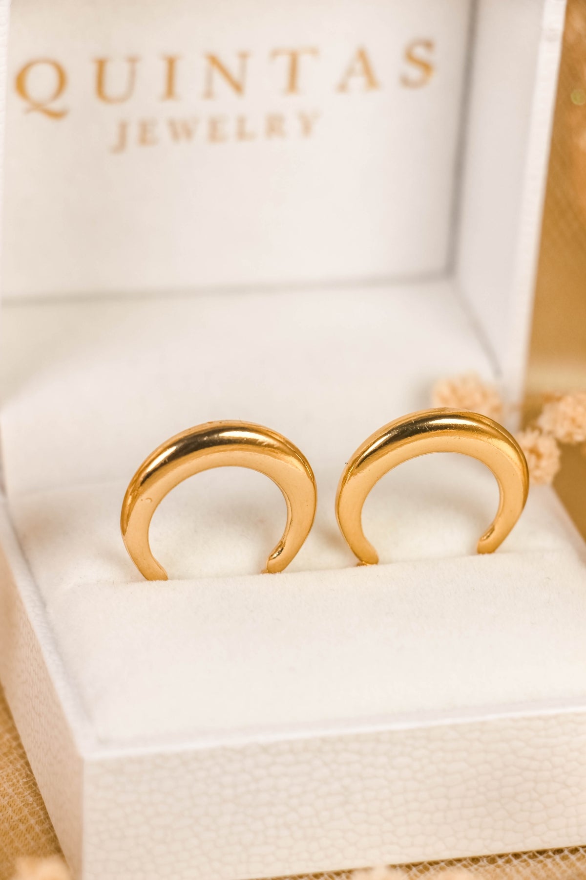 Nala Sleek Hoop Earrings