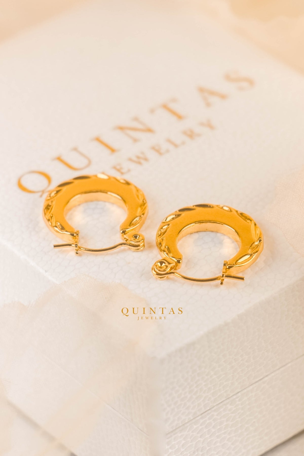 Lara Sculpted Hoop Earrings
