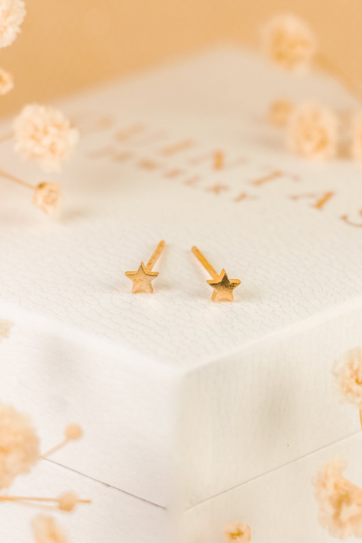 Elise Star Stud Earrings