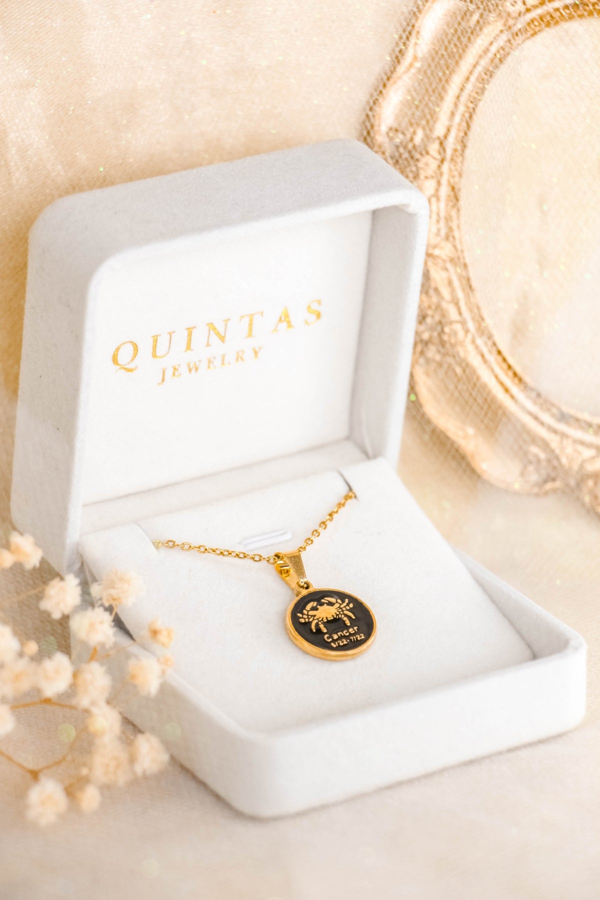 Black Coin Zodiac Sign Necklace