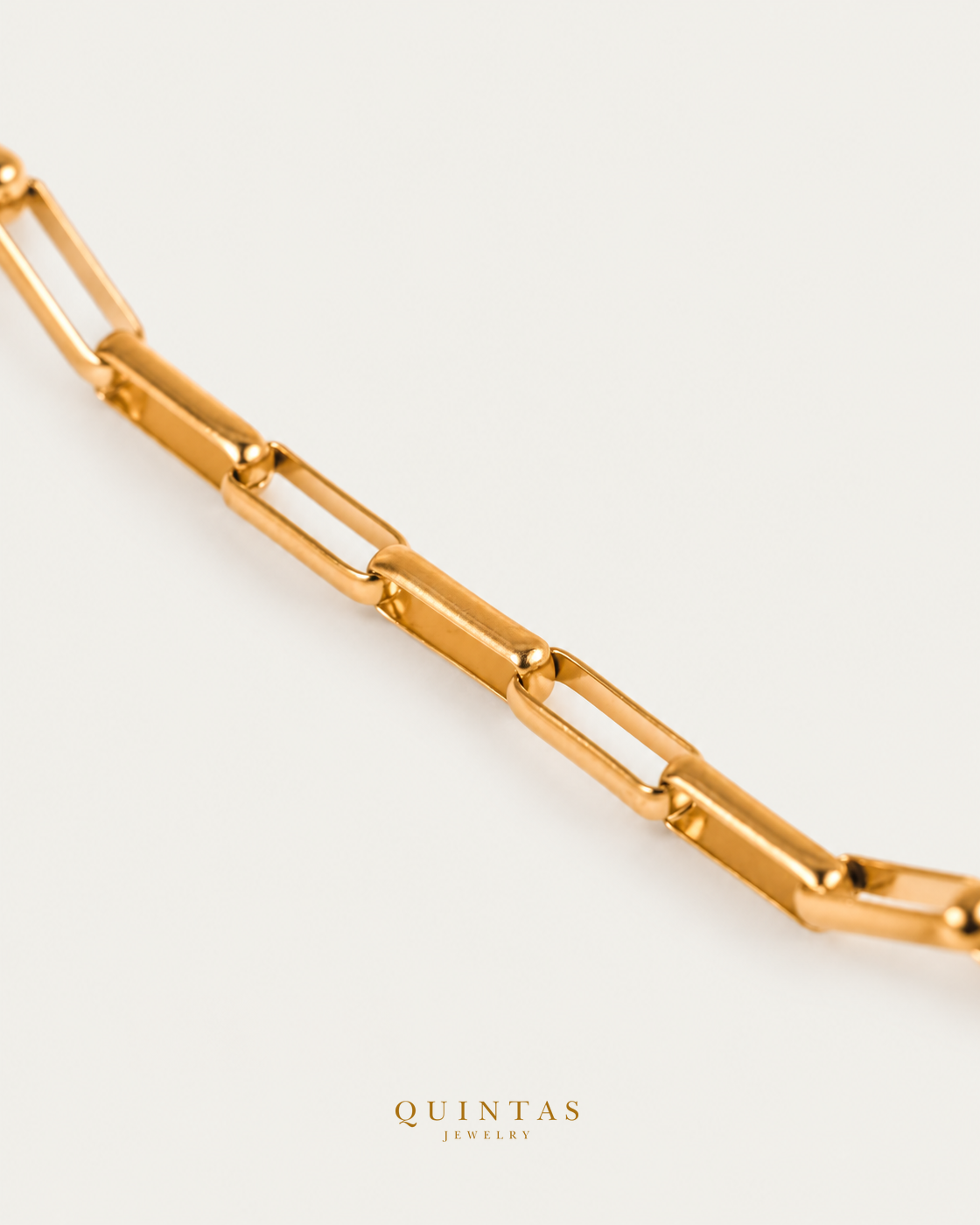 Muse Link Bracelet — actual source-backed detail, unchanged macro crop, authentic canonical logo