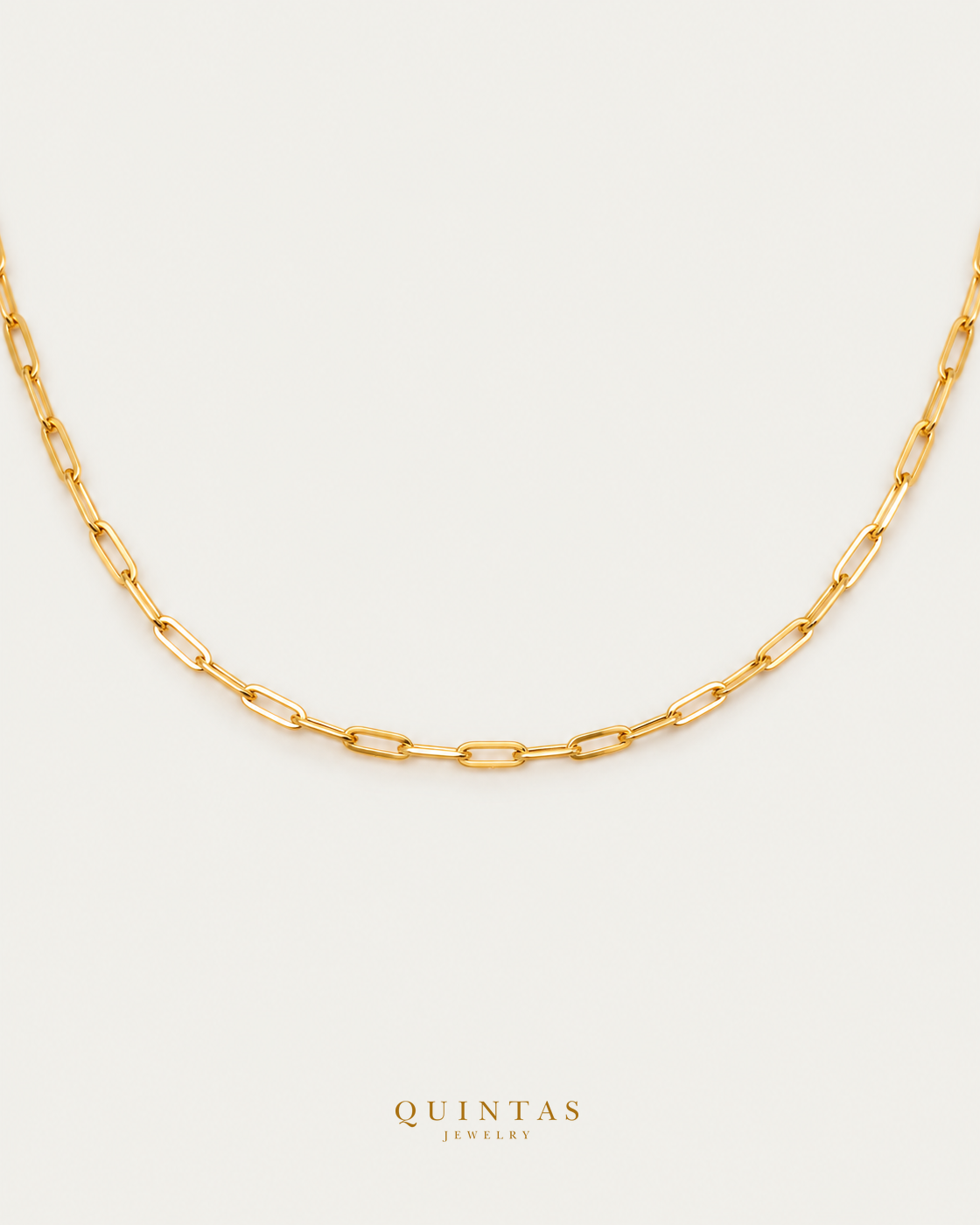 QUINTAS™ Paperclip Chain Necklace — exact source-supported main framing and jewelry unchanged, authentic canonical logo