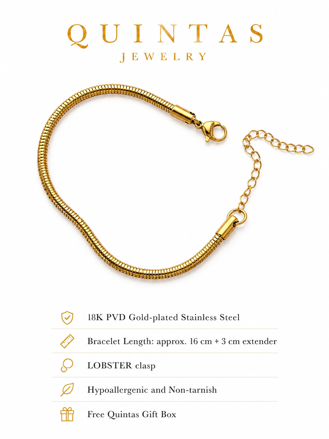 Round Snake Chain Bracelet