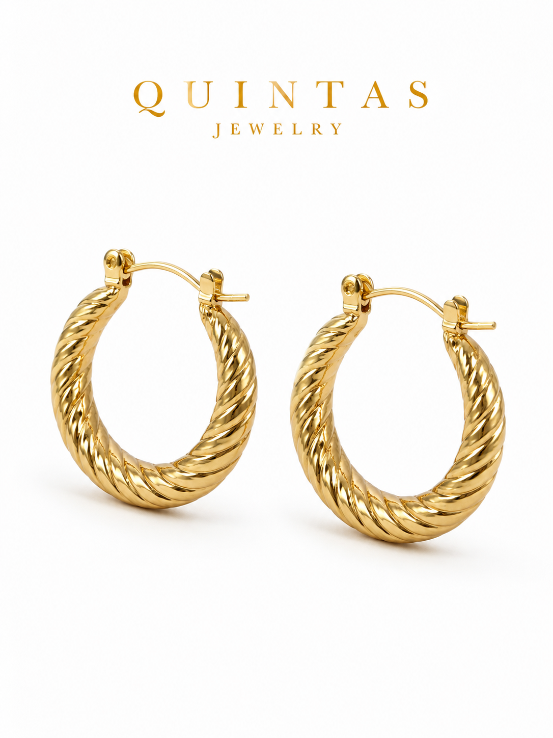 Solenne Twisted Hoop Earrings