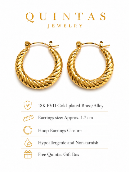 Solenne Twisted Hoop Earrings