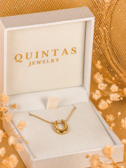 Horseshoe Luck Necklace