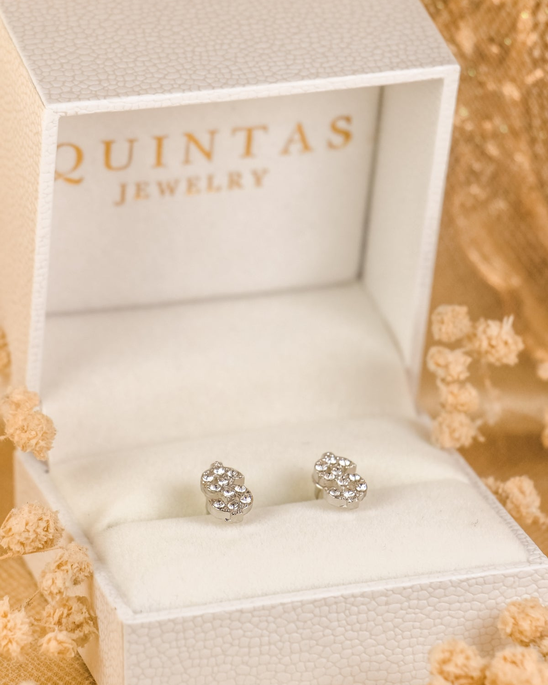 Dollar Sign Silver Stud Earrings existing gallery photo, proportionally centered to 4:5 without redesign.