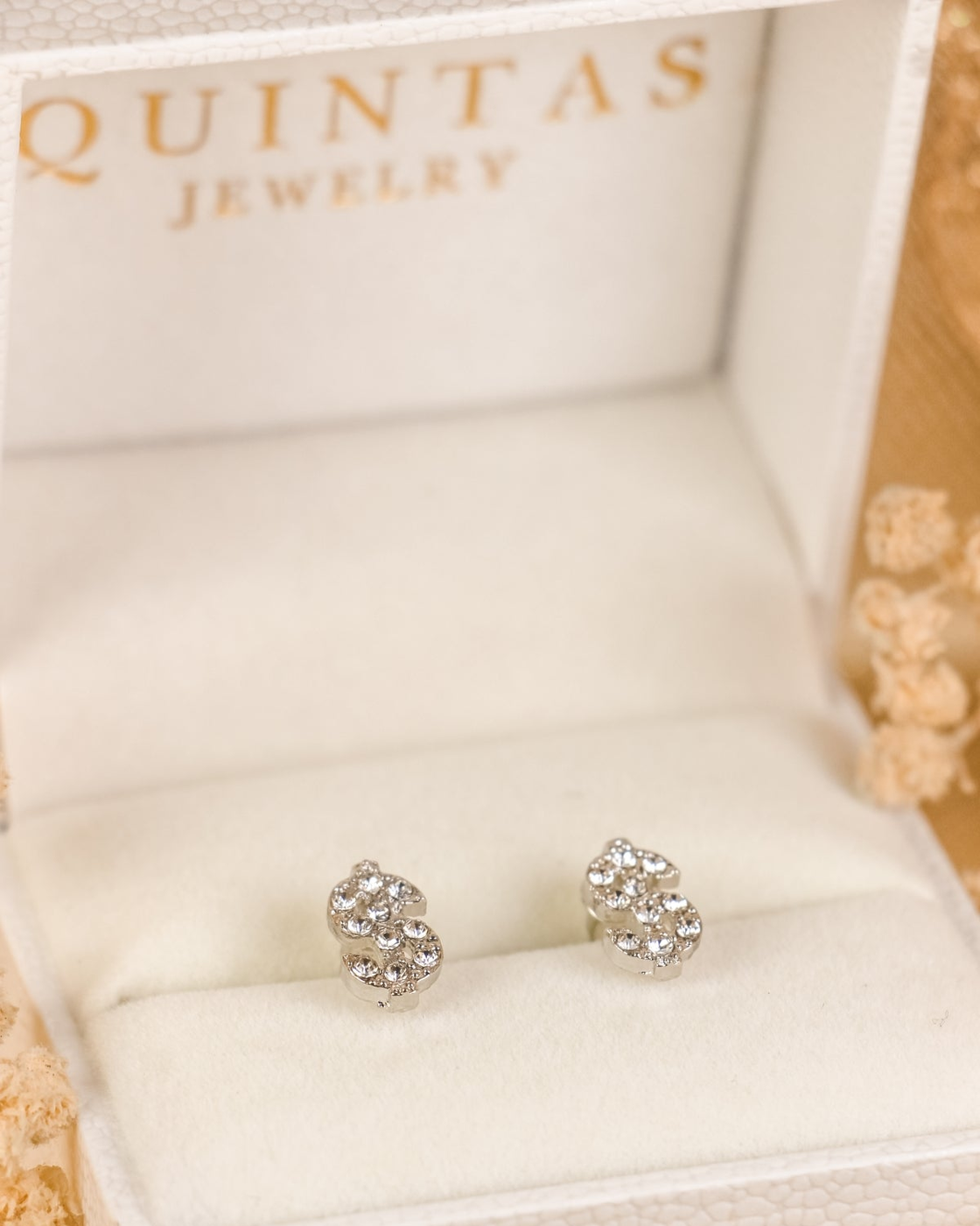 Dollar Sign Silver Stud Earrings existing gallery photo, proportionally centered to 4:5 without redesign.