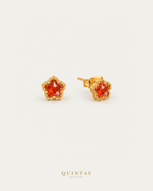 Star Gem Stud Earrings existing source-checked main, smaller framing and canonical logo