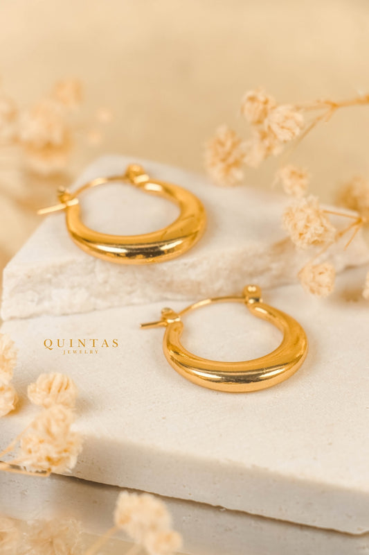 Nala Sleek Hoop Earrings