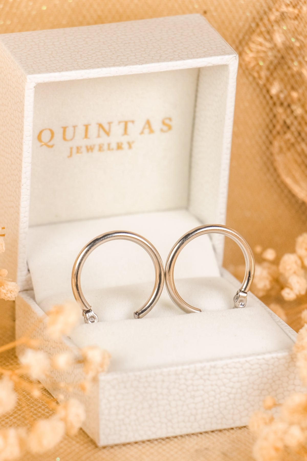 Alessa Classic Hoop Silver Earrings