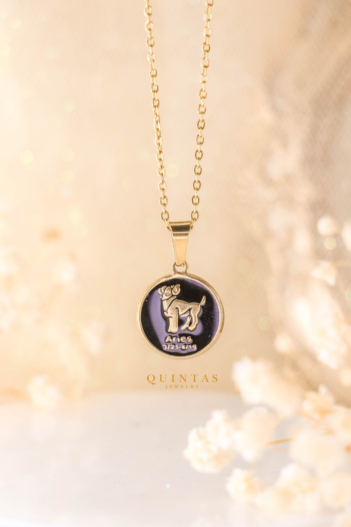Black Coin Zodiac Sign Necklace