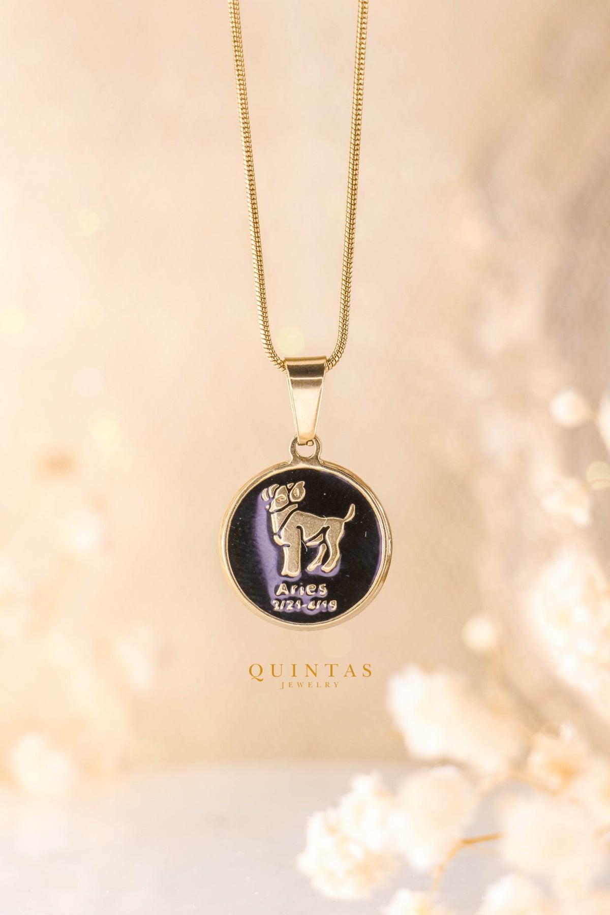 Black Coin Zodiac Sign Necklace