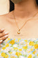 Seashell Necklace